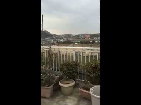 brise vent pour terrasse -bois-volets-roulants-pvc