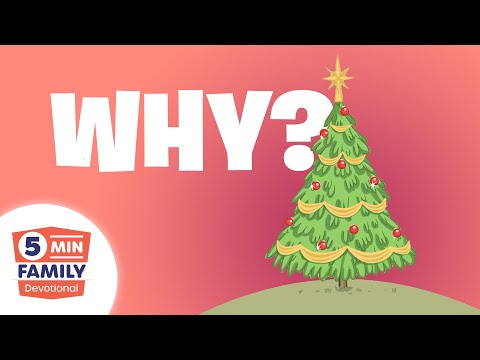 Witness21 Editor  2019 11 26