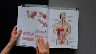 Netterov anatomický atlas človeka - videoukázka