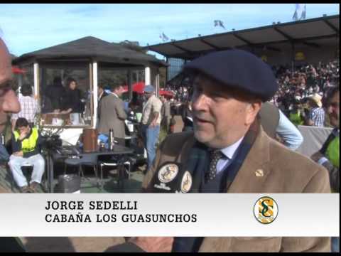 27-07-15 - Jorge Sedelli ( Cabaña Los Guasunchos ) - Palermo 2015.