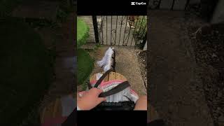 Wooden horse💗 #equestrianjourney #horse #equestrian #horsetrack