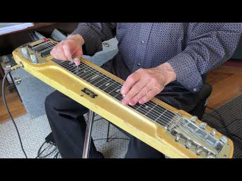 Last of the Mohicans - steel guitar