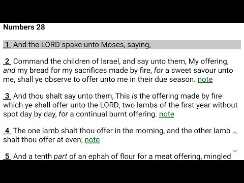 Numbers 28 Through 29