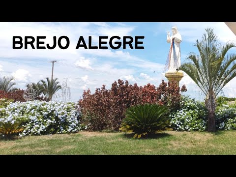 Brejo Alegre SP - Passeio da Rota 408 pela cidade de Brejo Alegre - 10° Temp - Ep 11