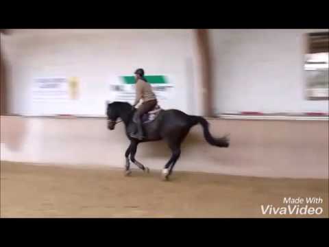 by Grafenstolz *2008