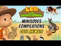 Cute Animals Minisode Compilation Leo The Wildlife Ranger Animation For Kids