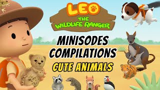 Cute Animals Minisode Compilation - Leo the Wildlife Ranger | Animation | For Kids