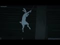 Toji Vs Megumi S Rabbits