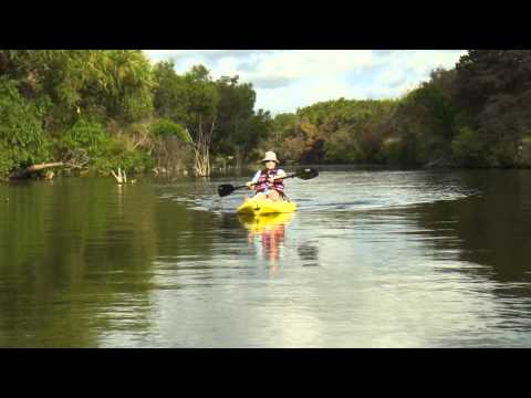 Lifetime Daylite Kayak ($199 from Sams Club) - Kayaking Brushy Creek Lake