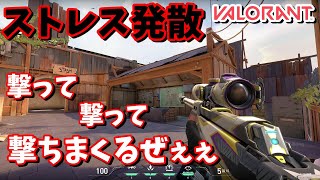 【ヴァロラント】ストレス発散！撃って撃って撃ちまくるぜ！！！【VALORANT】