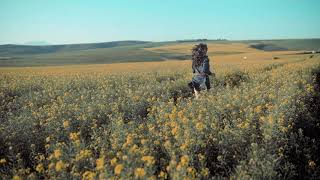 Passed, Riot - Music to Relax your mind.