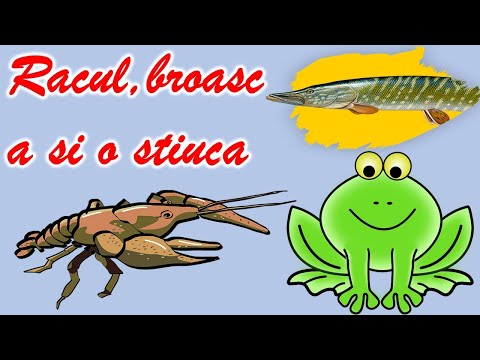 Racul, broasca si stiuca de Alecu Donici