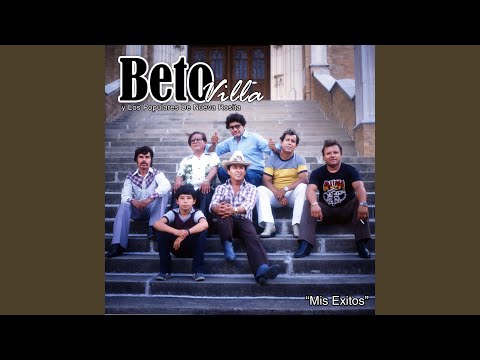 Capullo de Rosa Blanco