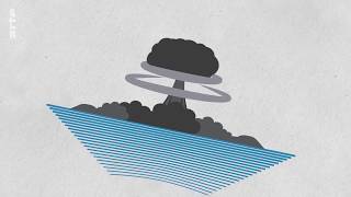 Le cafard, seul résistant à une guerre nucléaire VRAI ou FAUX ?