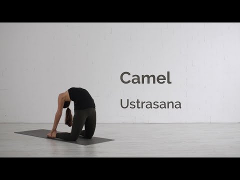 Camel Pose (Ustrasana) Tutorial