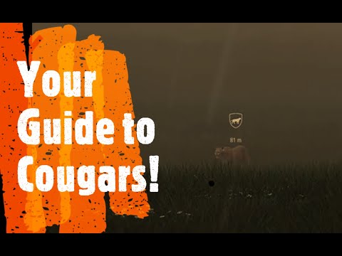 Your Guide to Cougars! Quick and Simple Hunting Info - Hunting Simulator 2