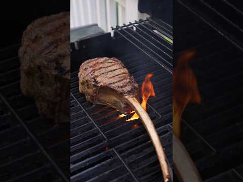 Cooking Dinosaur!?! 🦕