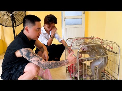 Mom's Tears: Emotional Encounter with Monkey Kaka and Mit in cage