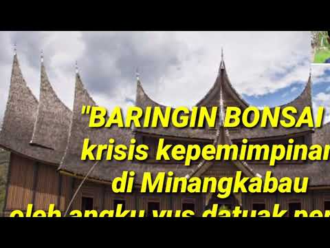 BARINGIN BONSAI