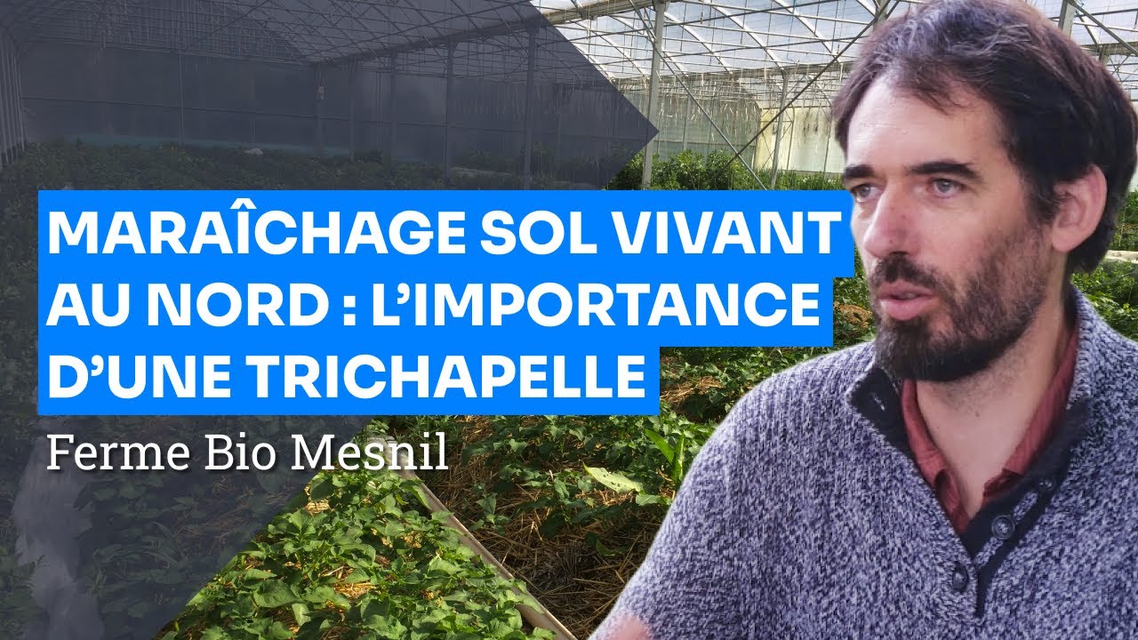 MSV au Nord: l'importance d'une trichapelle  - Portrait de ferme MSV : Ferme Bio-Mesnil (80) - 2023