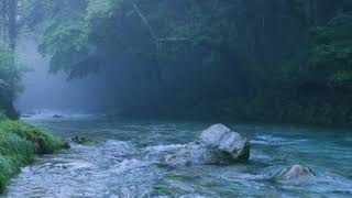 Download lagu 【自然の音と4K 映像】 円原川の川霧でリラックス  3時間　作業 勉強 集中力 睡眠 リラックス視聴用　Relaxing Nature Sounds 3h mp3