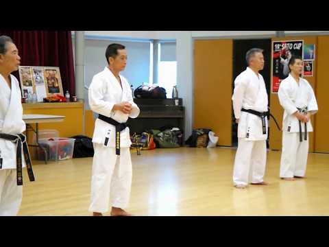 2018 Sato-ha Shito-Ryu black/brown belt workshop 1