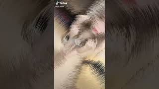 こんな美人が女王様に！！一生ついていきます！！！！