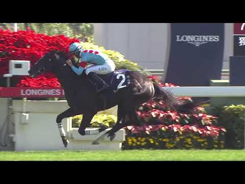 Glory Vase グローリーヴェイズ- J Moreira (The Longines Hong Kong Vase 2019)