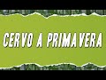 Riccardo Cocciante - Cervo a primavera (Testo)