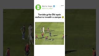 Eu te amo futebol Sul Americano kkkkkkkk #futebol #shorts #brasil #memesbr