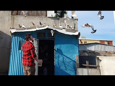 SOHPET EDERKEN AYNI ANDA AVAREYE PIRILTI ATTIK  2 AVARE BİRDEN HEYECANA BAK