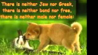 Point of Grace- Begin with me (Remix)