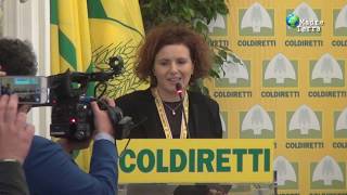 Madre Terra - 15/2019 - Italia green: innovazione e giovani