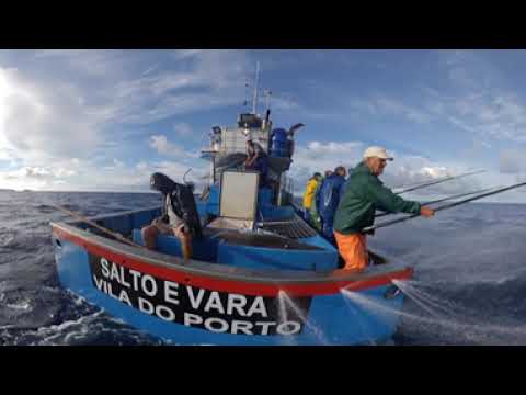 Pesca de Salto e Vara nos Açores em 360º