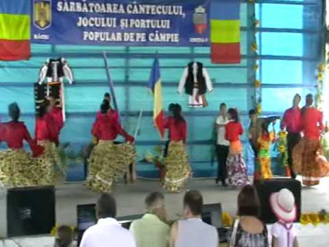 41 Targu lui Ilie 2010 - Formatia de rromi Sucar Rroma - Sanpetru de campie