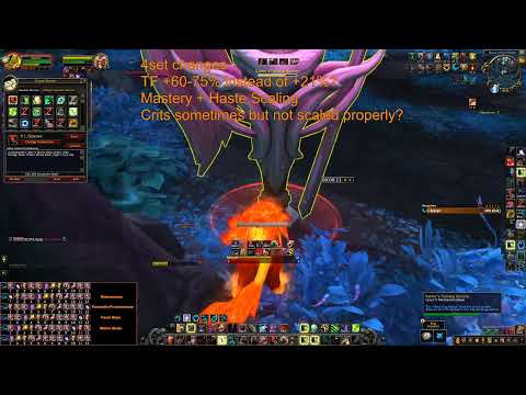 Feral 9.2 PTR Testing 11 Dec 2021