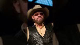 A Hank Jr  Song Ahead Of It&#39;s Time? #shortsfeed #countrymusic #outlawcountry