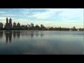 Ducks In The Jackie Onassis Reservoir Central Park Manhattan
