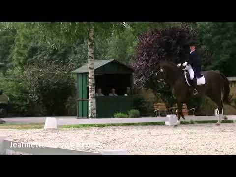 REITEN und ZUCHT-Video: Haage 2010 - Jeannette See auf Renier