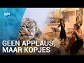 Klassiek concert voor eenzame katten