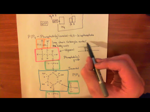The Protein Kinase C Pathway Part 1