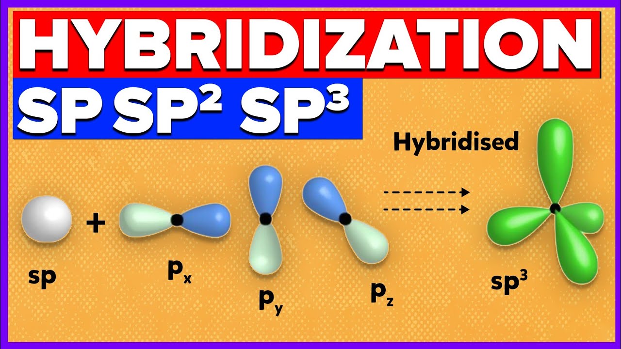 Hybridization of Atomic Orbitals | SP, SP2, SP3 Hybridization of Carbon