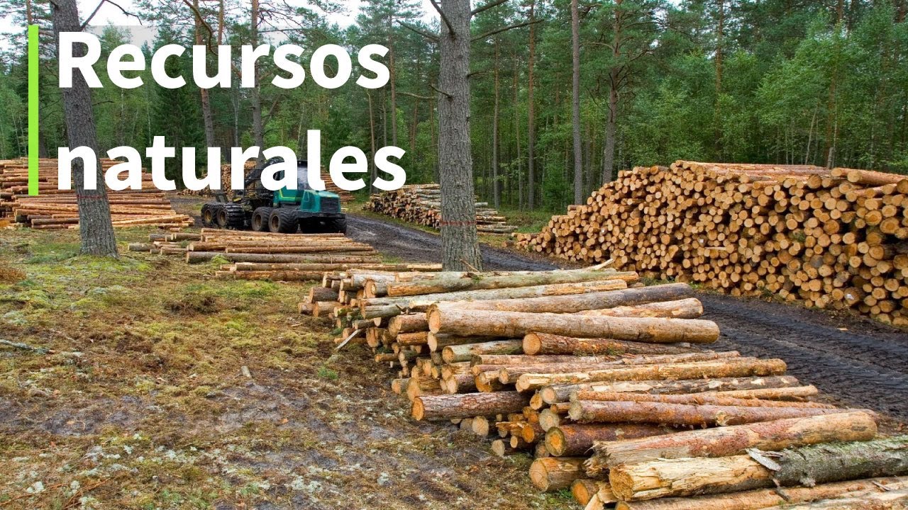 Recursos naturales | QUÉ SON, CUÁLES SON, IMPORTANCIA