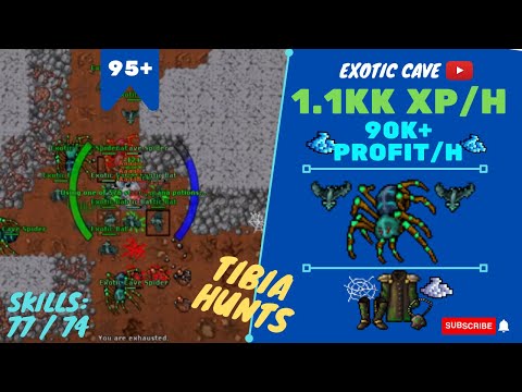 EK SOLO LVL 95+ 1.1KK XP/H - 90K+ PROFIT/H - SKILL 77/74 - TIBIA HUNT - Exotic Cave