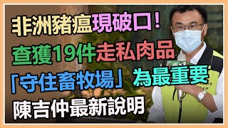 非洲豬瘟現破口！「守住畜牧場」