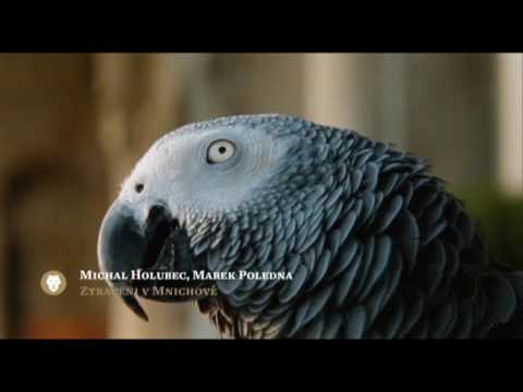 23. Český lev - záznam slavnostního předávání