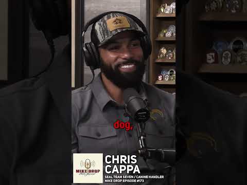 How K9 Handlers Meet Their Dogs - SEAL Team 7 Chris Cappa on Training Mickey | Mike Drop Shorts #173