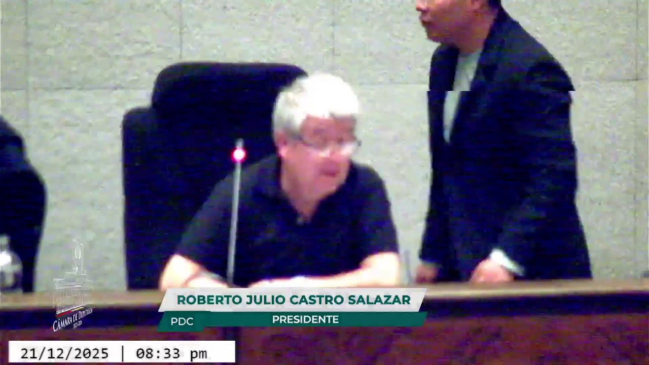 24a Sesión Ordinaria - 21/12/25