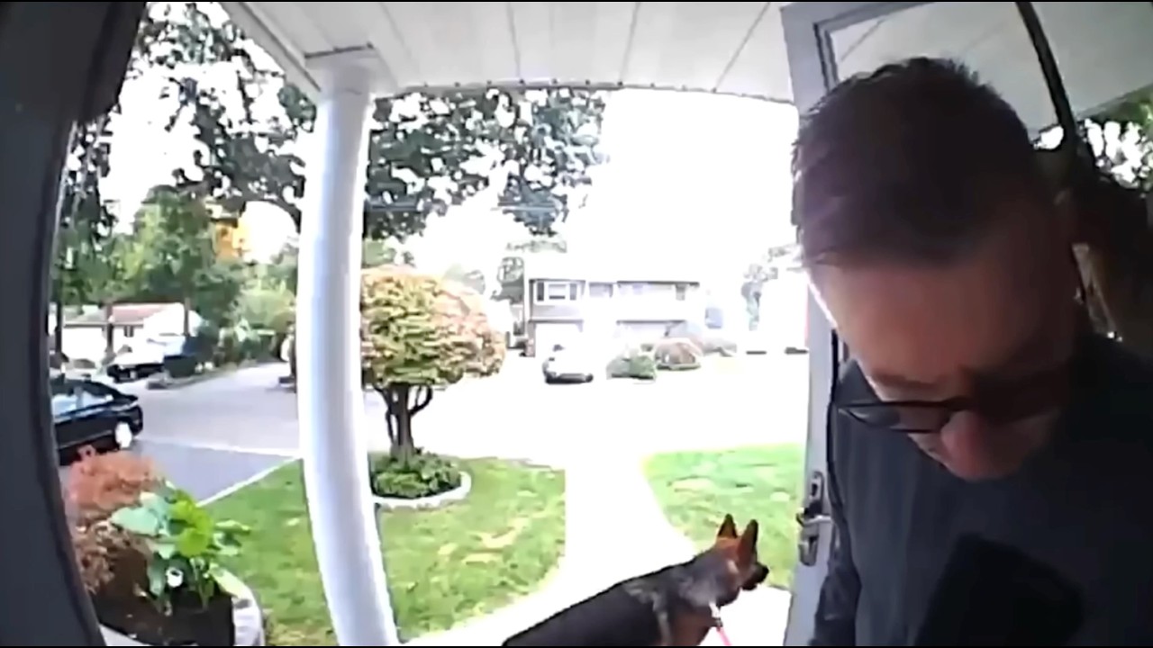 Caught in 4k! 😂 Funniest Security Camera Fails PART 2!!!