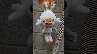 bunny treasure 😍 #pokemon #shorts #scorbunny #youtubeshorts